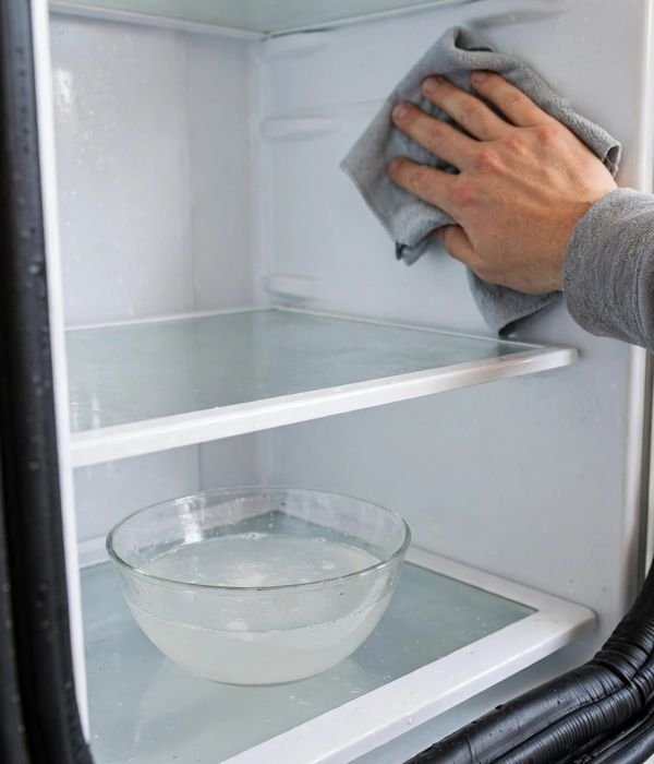 How to Clean Out Your Fridge Before Thanksgiving (15 Nov Clean-Out Day Checklist) 6 Wipe the Interior Walls and Seals – fridge clean out before thanksgiving